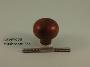 Rosewood Mushroom Knob Set - Classic, Ringed or Flower Backplates - 1007