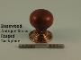 Rosewood Mushroom Knob Set - Classic, Ringed or Flower Backplates - 1007