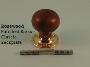Rosewood Mushroom Knob Set - Classic, Ringed or Flower Backplates - 1007