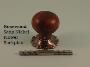 Rosewood Mushroom Knob Set - Classic, Ringed or Flower Backplates - 1007